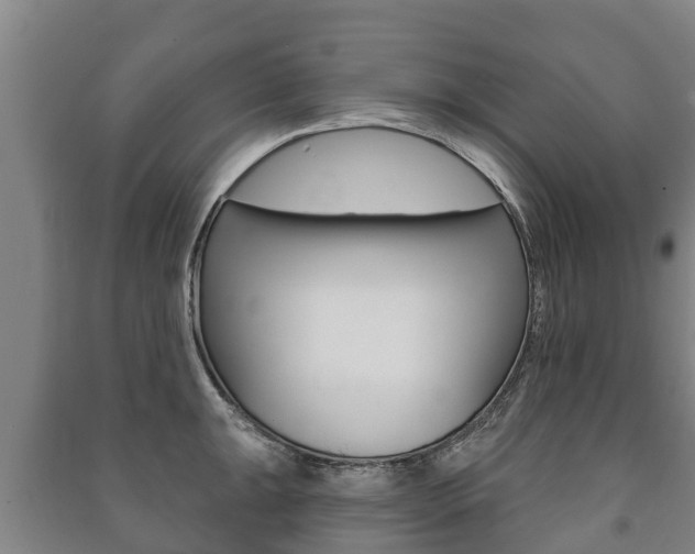 X0000091461047200708161103