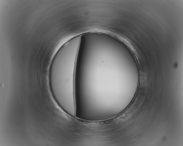 X0000091461048200708161103