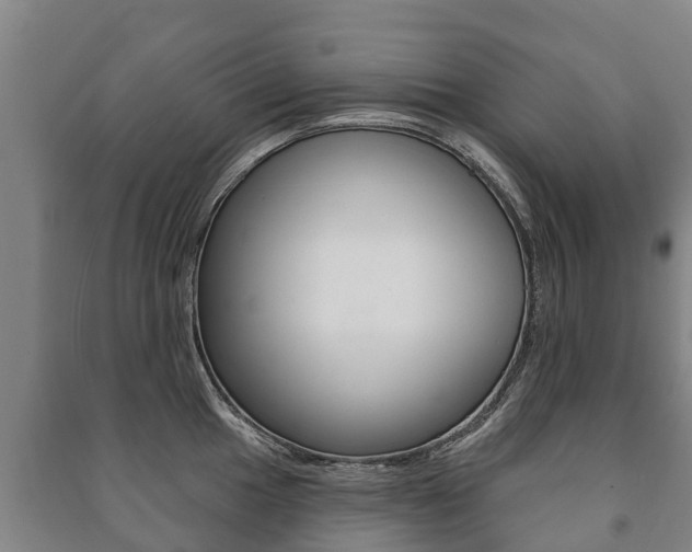 X0000091461049200708161103
