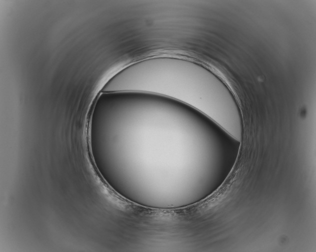 X0000091461050200708161103