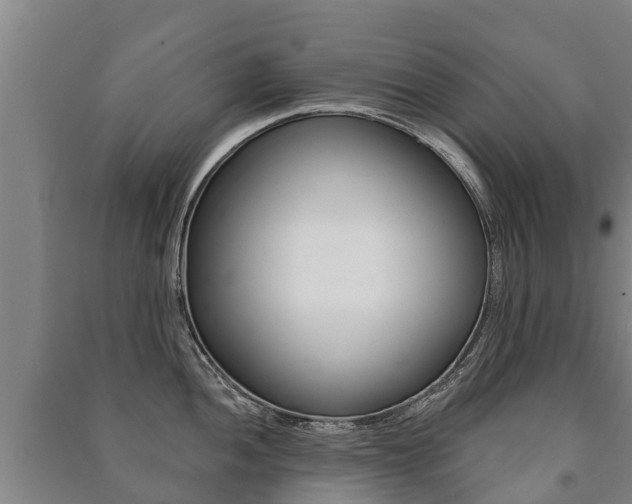 X0000091461052200708161103
