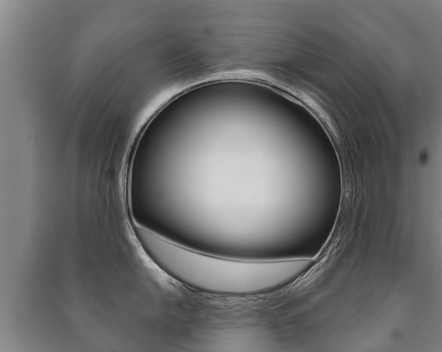 X0000091461054200708161103