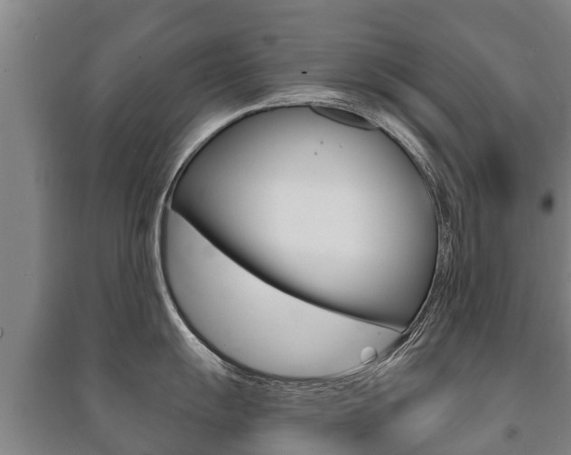X0000091461055200708161103