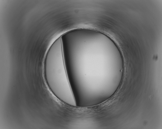 X0000091461056200708161103