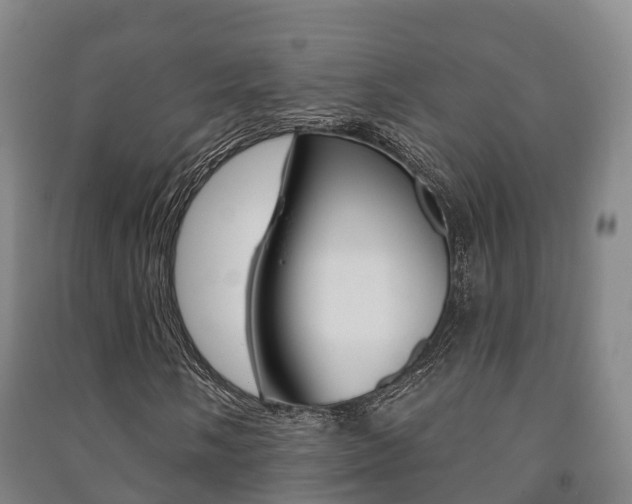X0000091461058200708161103