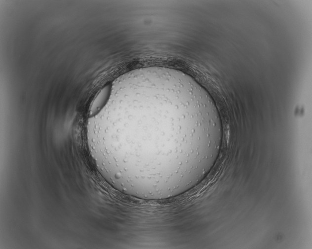 X0000091461059200708161103