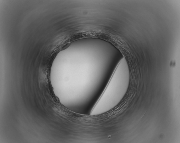 X0000091461060200708161102