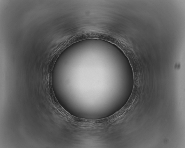 X0000091461061200708161102