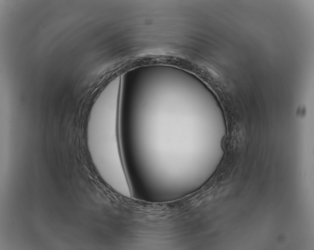 X0000091461062200708161102