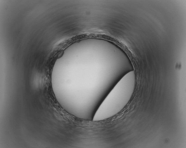 X0000091461063200708161102