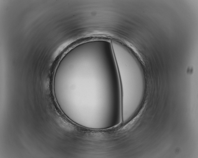 X0000091461066200708161102