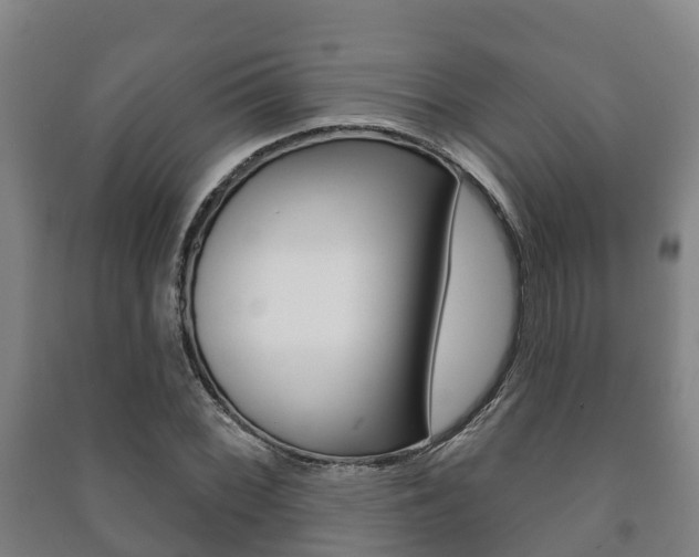 X0000091461068200708161102