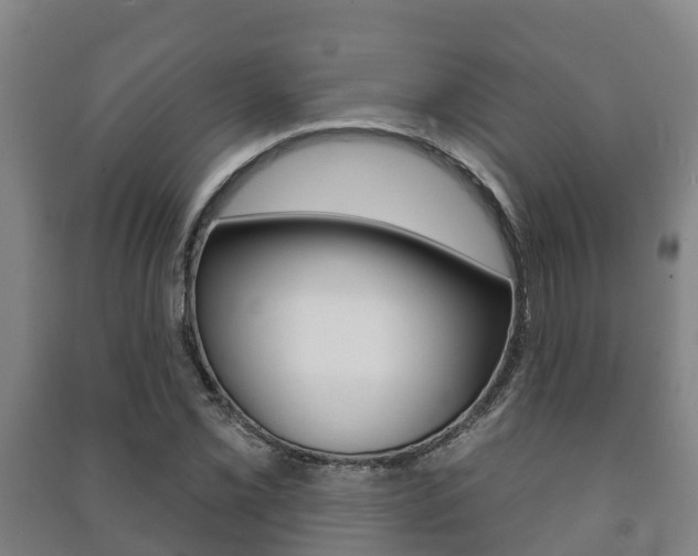 X0000091461069200708161102