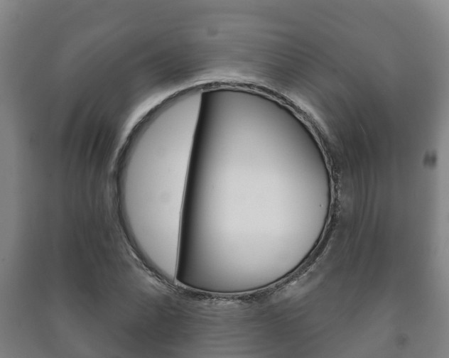 X0000091461070200708161102
