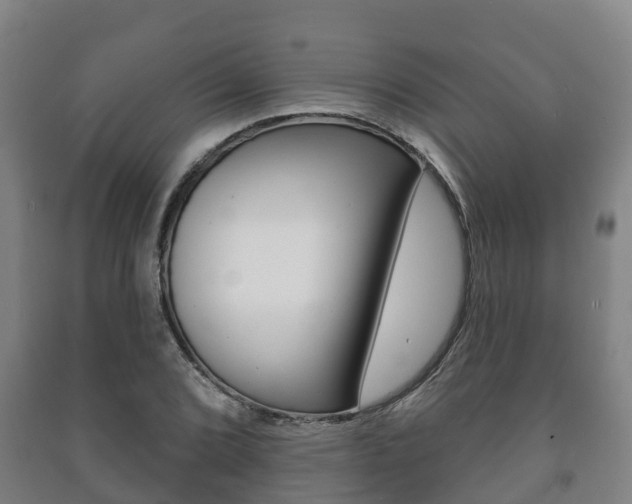 X0000091461072200708161102