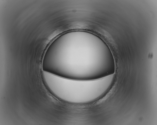 X0000091461073200708161102