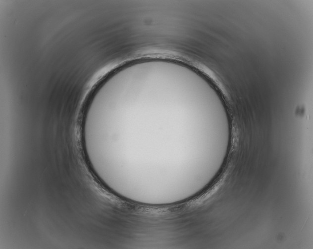 X0000091461074200708161102