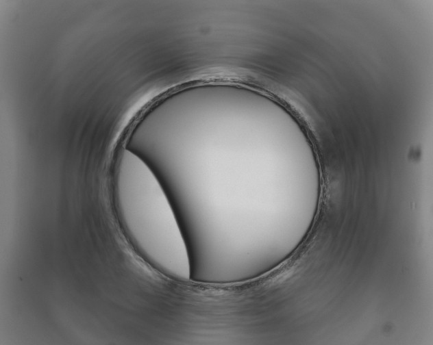 X0000091461075200708161102