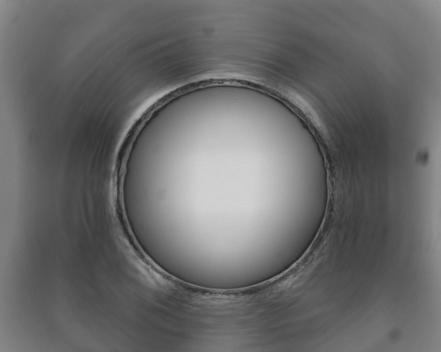 X0000091461076200708161102