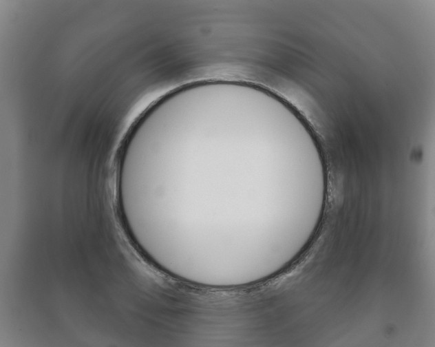 X0000091461078200708161102