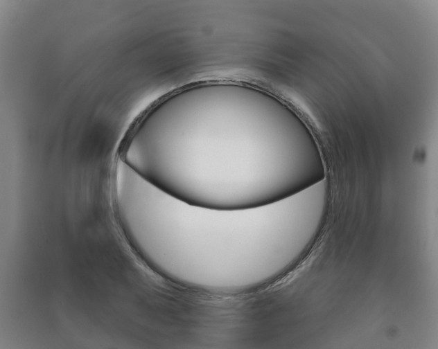 X0000091461079200708161102