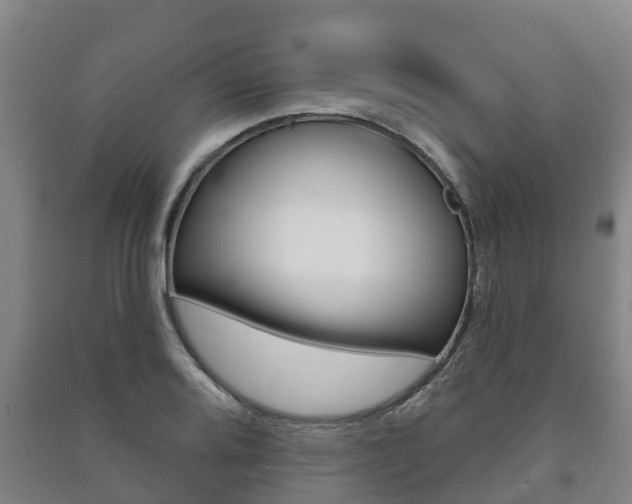 X0000091461080200708161102