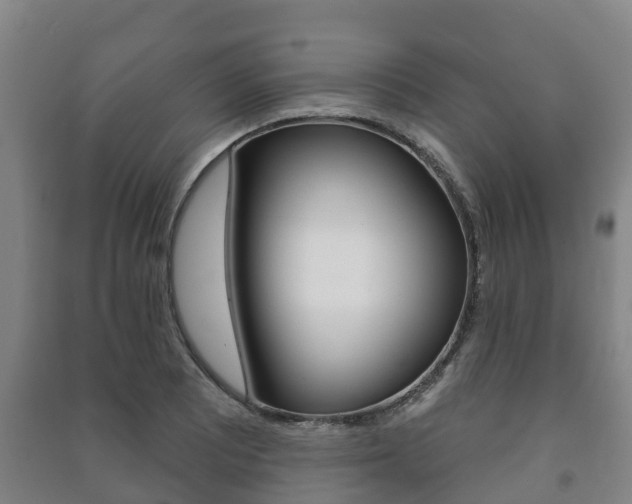 X0000091461081200708161102