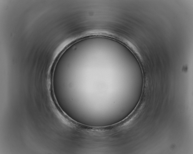 X0000091461082200708161102