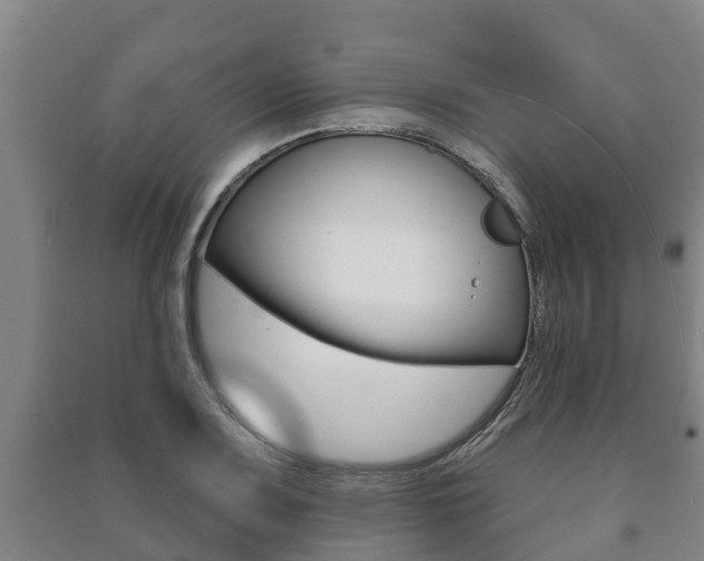 X0000091461083200708161102