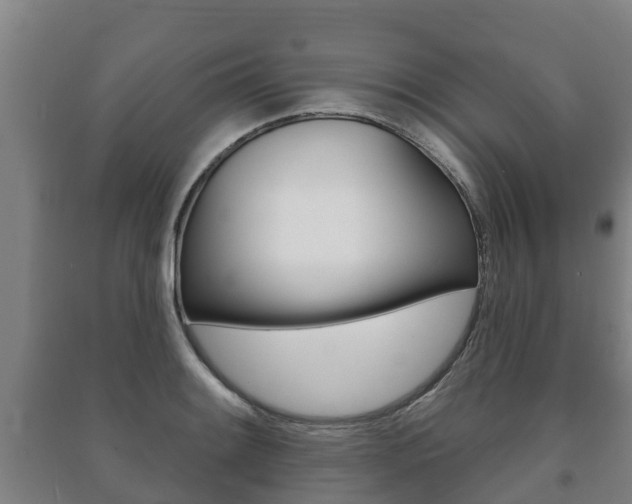 X0000091461084200708161102