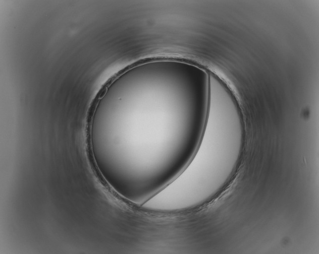 X0000091461085200708161102