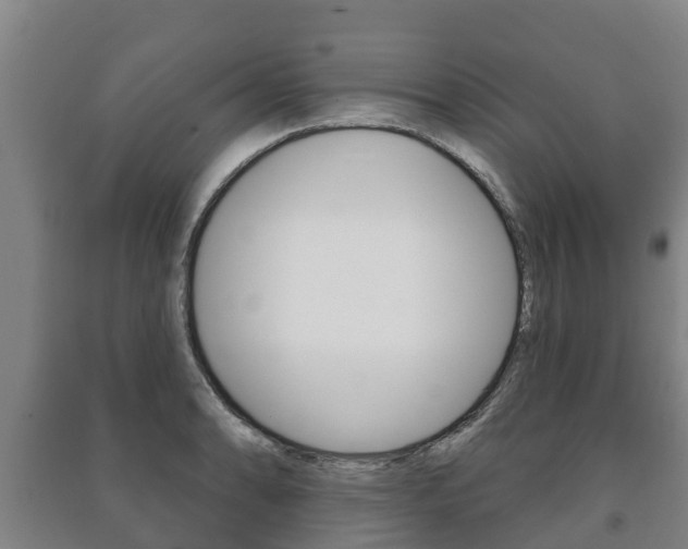 X0000091461086200708161102