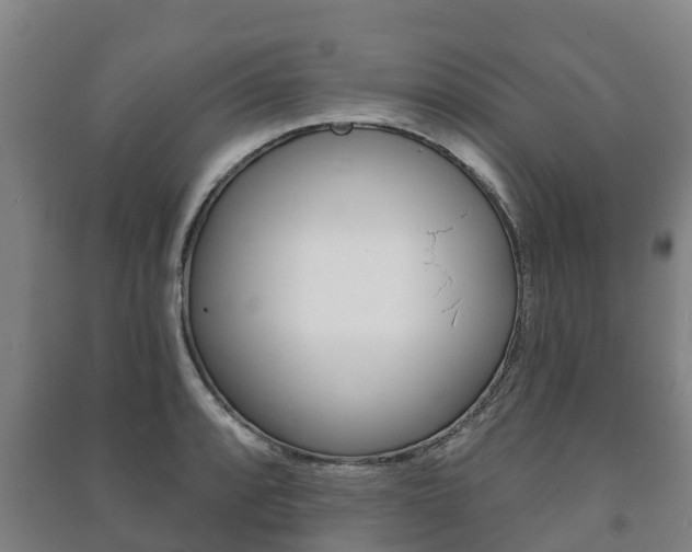 X0000091461088200708161102