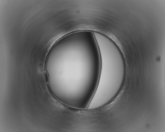 X0000091461089200708161102