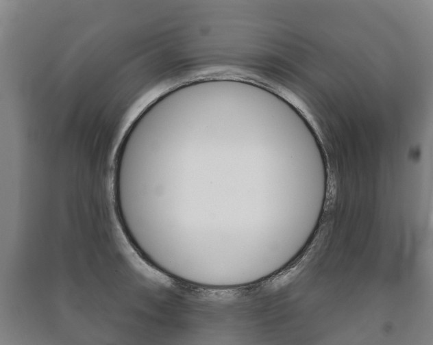 X0000091461090200708161102