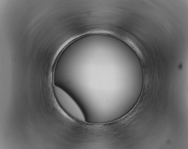 X0000091461092200708161102