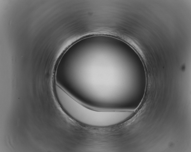 X0000091461093200708161102