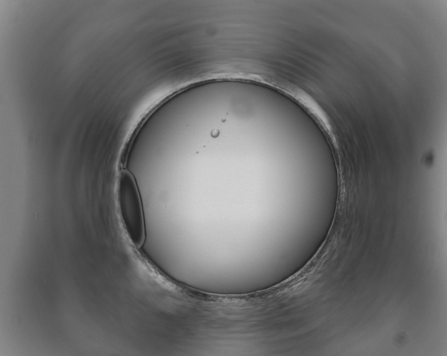 X0000091461096200708161102