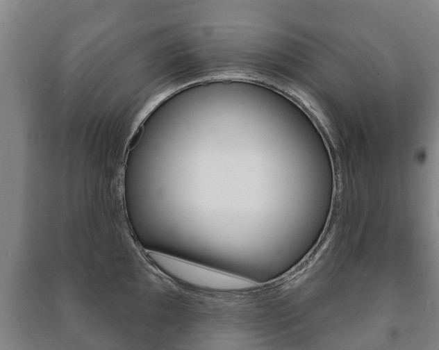 X0000091461097200708161102