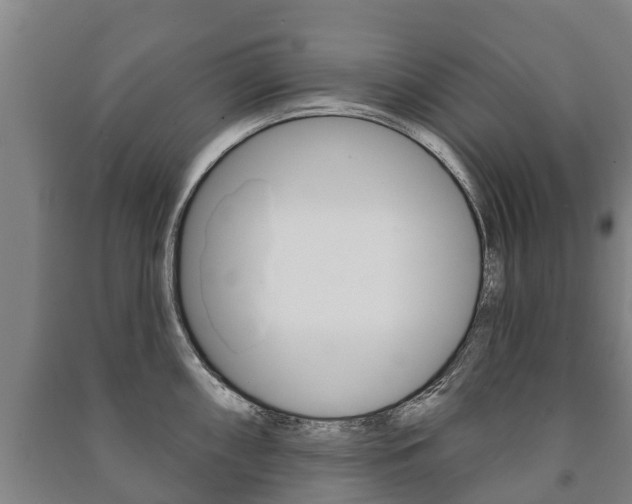 X0000091461098200708161102