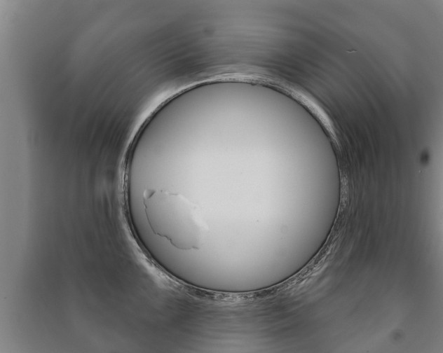 X0000091461099200708161102
