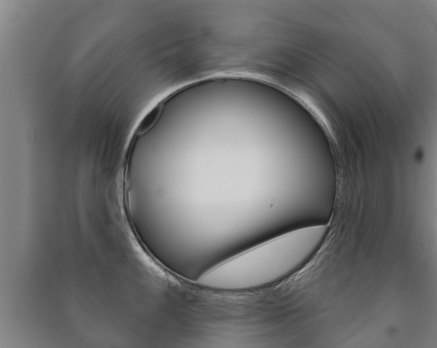 X0000091461100200708161102