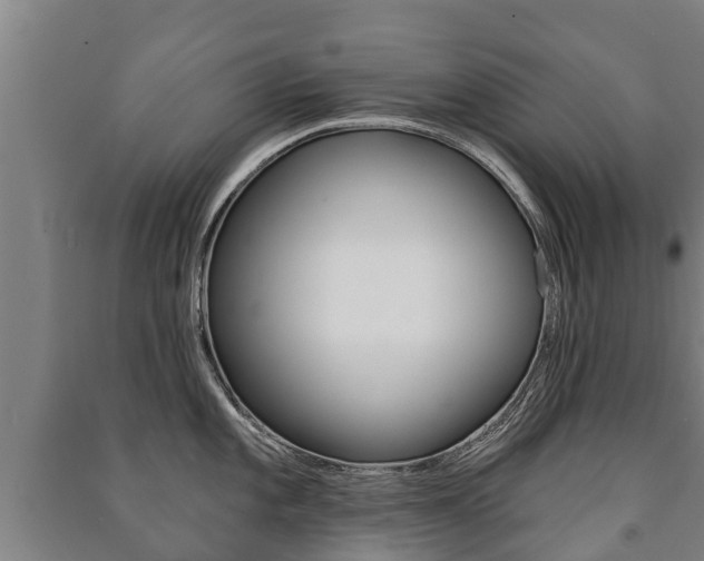 X0000091461101200708161102