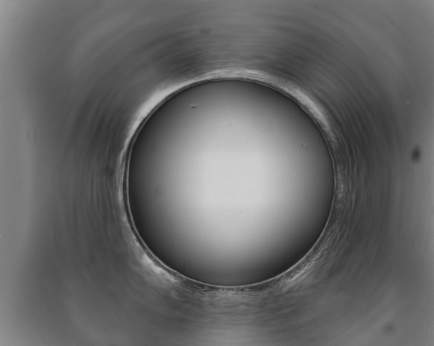 X0000091461102200708161102