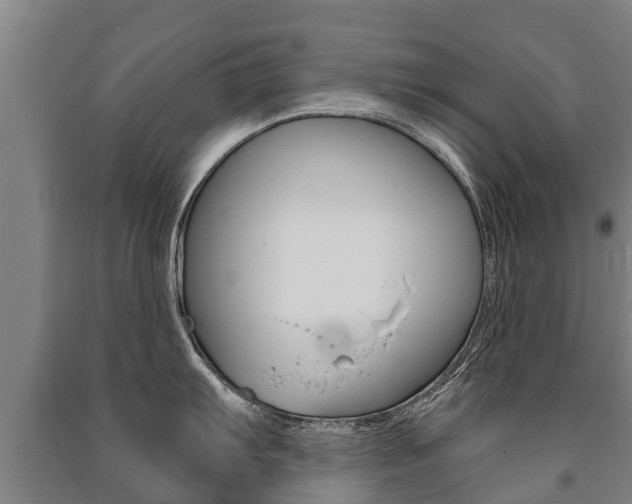 X0000091461103200708161102