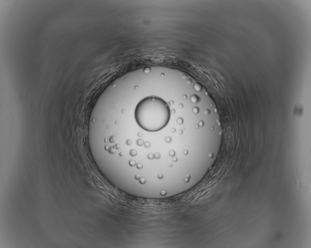 X0000091461105200708161101