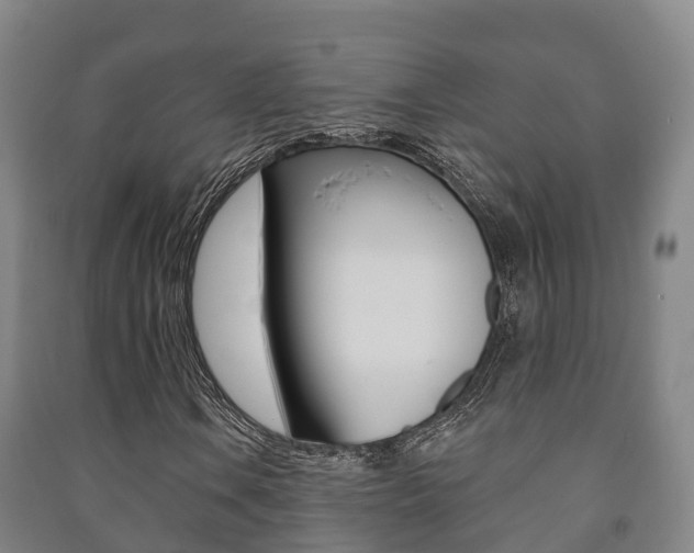 X0000091461106200708161101