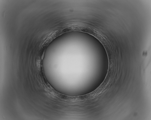 X0000091461108200708161101