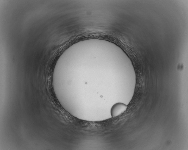 X0000091461109200708161101