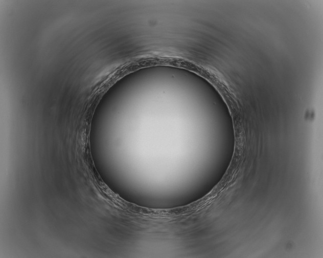 X0000091461110200708161101
